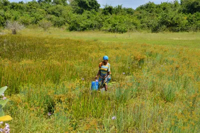 DSC_5153 (Large).JPG